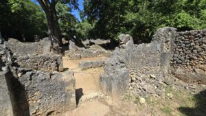 Watamu