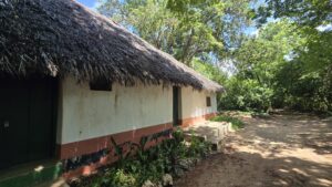 Watamu 