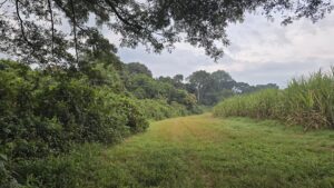 Uganda