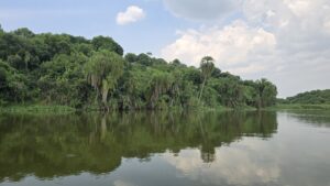 Uganda