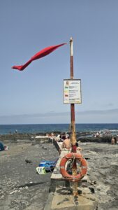 Sardina