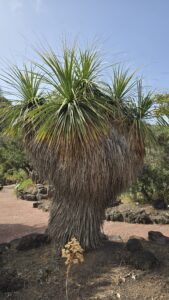 Botanischer Garten