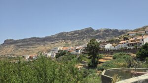 Sardina
