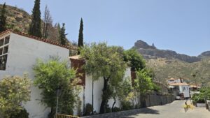 Sardina