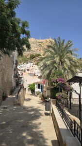 Alicante